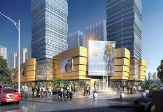 金山区健康猫咪定制选购网站