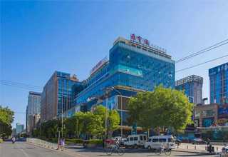 宁德专业制造智能欧式起重机专业服务